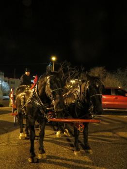 The tour concludes with a trip in a horse-drawn carriage.